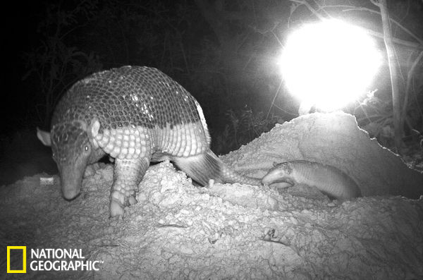 ������ѧ��������������ĵ��˴��������̵���Ӱ