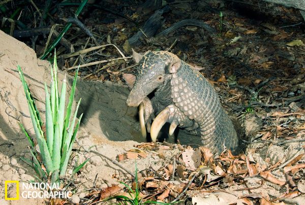 �������������ΪĪ�����ھ�Ѩ