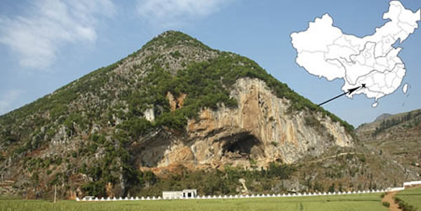 �������ش󶴣����乩ͼ��