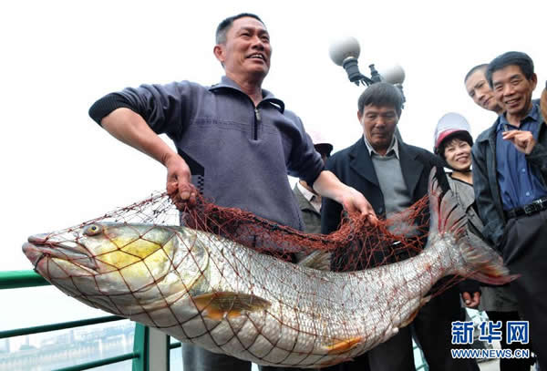 ������������1.3�׳��Ĵ�����