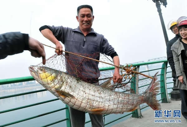 ������������1.3�׳��Ĵ�����