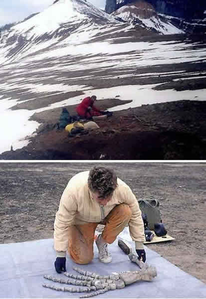 �߾�������˹��ˮ��