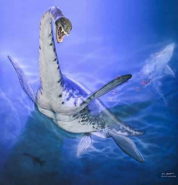 �ϼ��߾���