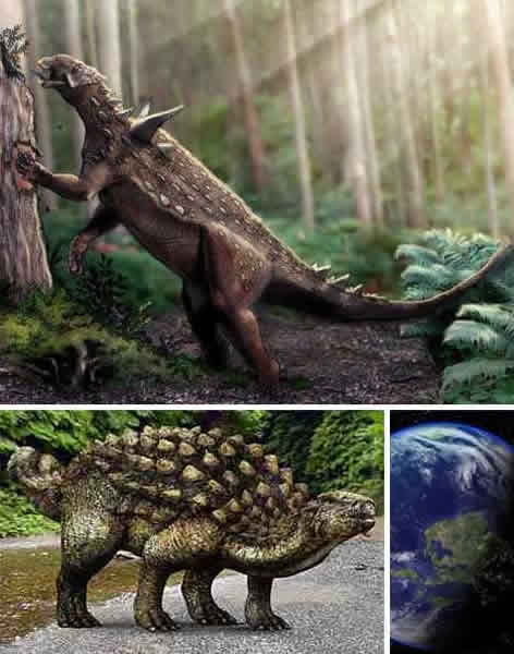 �ϼ�����