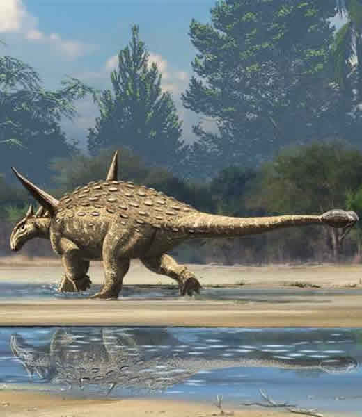 �ϼ�����