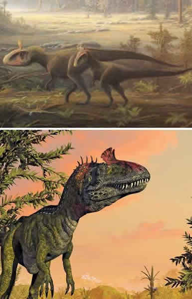 ���ϱ�����