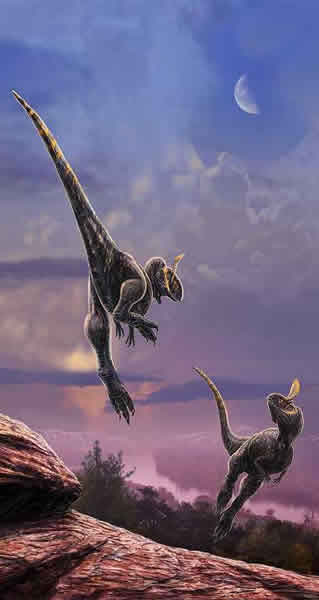 ���ϱ�����