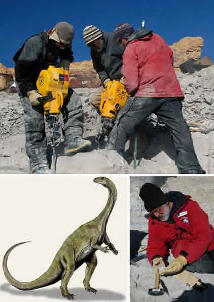 ���ϱ�����