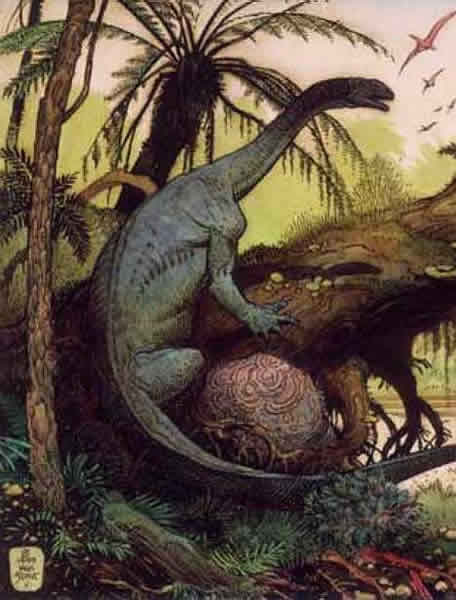 ���ϱ�����