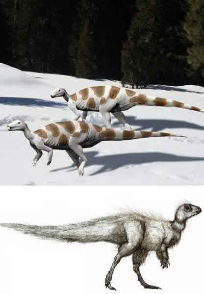 ʥ�������������