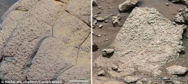 ��ͼ�ǻ����Ż��ǳ��������ʯ��������ͼ�Ǻ���Ż��ǳ�����Ĳ�ͬ������ʯ�����������������ڼ����ɿӻƵ�������ɼ��ģ������Ź���������������Ҫ��ѧ�ɷ�