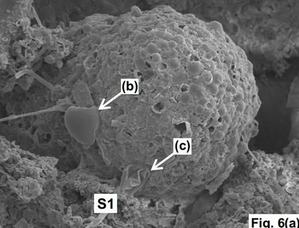 ΢ɨ۲쵽100΢׵Ľṹִˮ