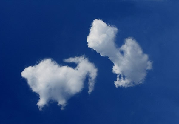 这两朵云一个好似老虎