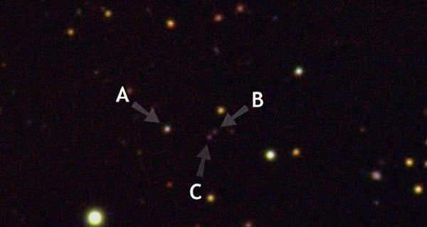 ѧ۲⵽幹ɵļȺо˽ĻṹԼϵݻ