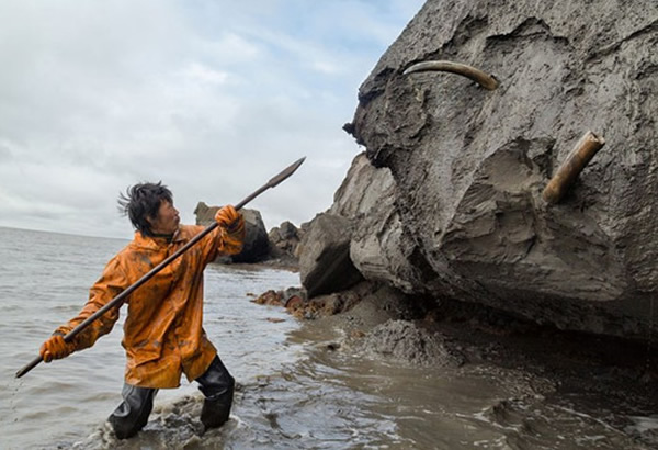 ����˹������ʯ����