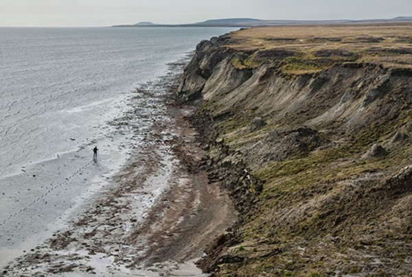 ����˹������ʯ����