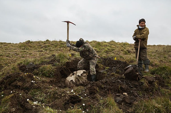 ����˹������ʯ����