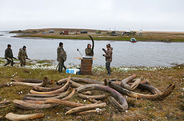 ����˹������ʯ����