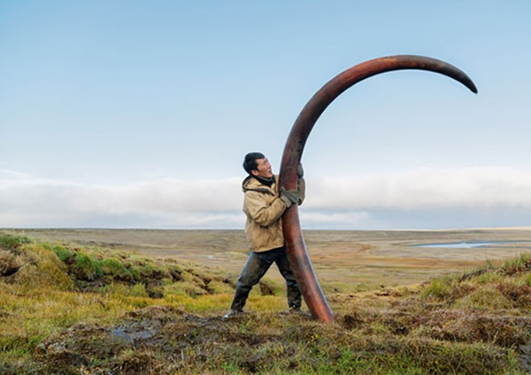 ����˹������ʯ����