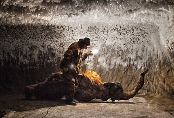 ����˹������ʯ����