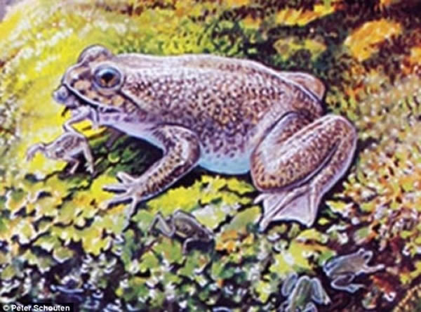 目前科学家能够复活已灭绝的胃育蛙胚胎,尽管这一技术尚不成熟,胚胎细胞仅存活了几天