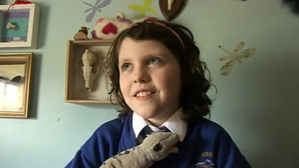 英国怀特岛9岁小女孩发现新翼龙化石