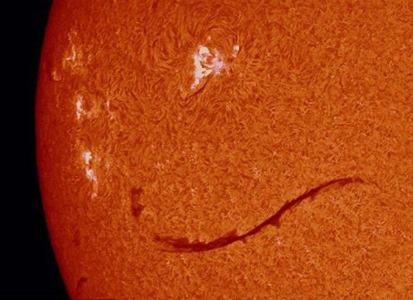 ҵ������ѧ�Ҵ������ð�װר���˹�Ƭ����Զ����׽������ϸ��ͻ����̫����Ƭ�������ƺ�����Ц����