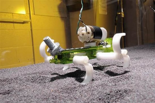 ��ѧ���������һ����������ˣ���������ɳ�ʱ����н�