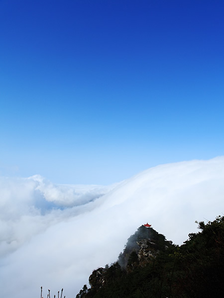 ����®ɽ���ֺ�����׳�۵��ٲ���