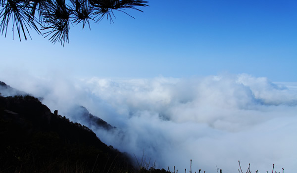 ����®ɽ���ֺ�����׳�۵��ٲ���