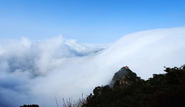 ����®ɽ���ֺ�����׳�۵��ٲ���