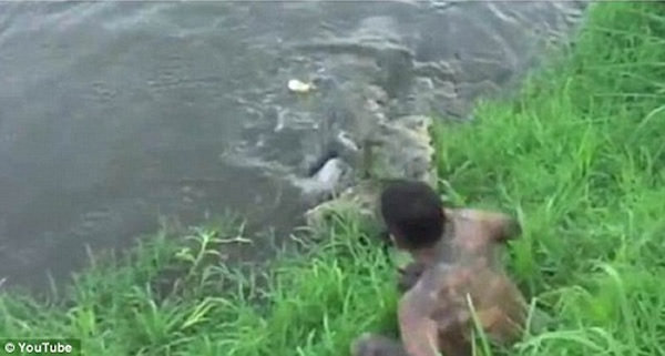 鳄鱼冲上河岸,袭击鲁伊斯