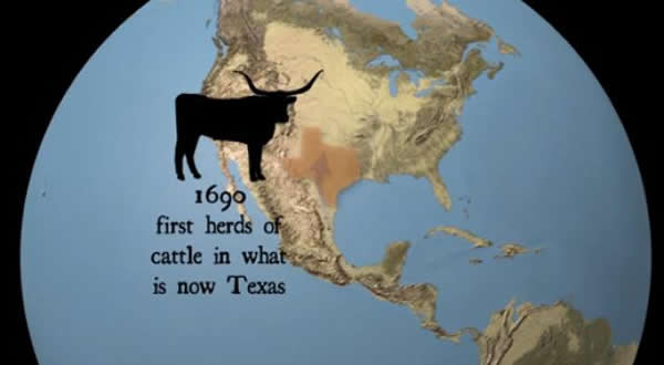 新大陆牛是已灭绝品种经过多次驯化的后代