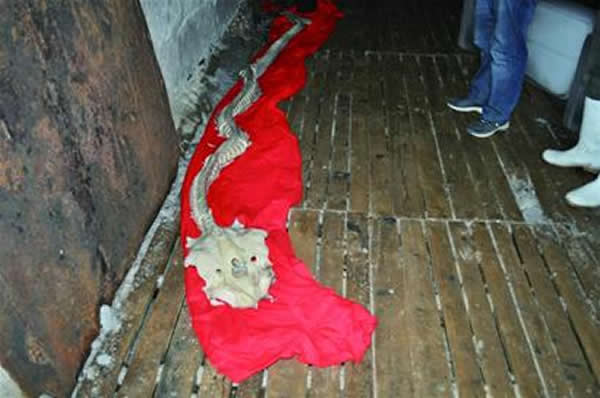 �ൺ������������̳�4�׳���������Ǽ�