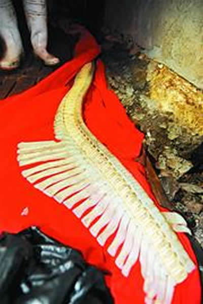 �ൺ������������̳�4�׳���������Ǽ�