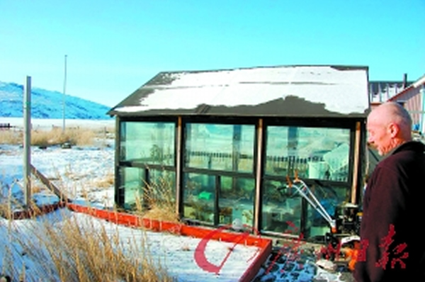 恩斯特向路透社记者展示他的温室菜园