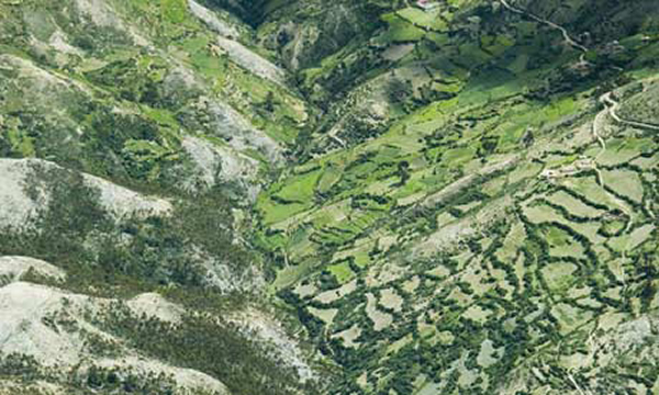 秘鲁亚马逊森林鸟瞰