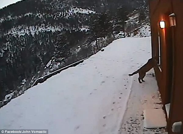 ���ɽ����������������ͷ����ʨ�����Űݷá�