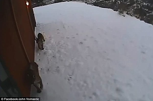 ���ɽ����������������ͷ����ʨ�����Űݷá�