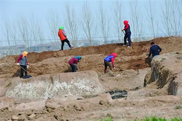 即墨金口北阡大汶口文化遗址