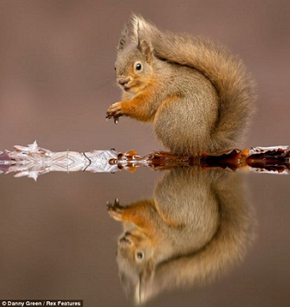 �ո���������ˮ�ߡ��վ���