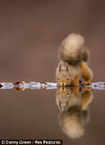 �ո���������ˮ�ߡ��վ���