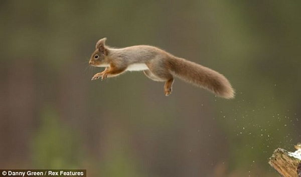 �������ڿ���Ծ