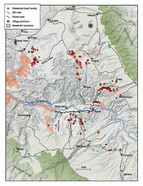 札达盆地新近纪脊椎动物化石地点分布图(王晓鸣供图)
