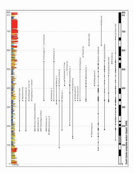札达盆地新近纪脊椎动物化石种类及其在地层中的分布(王晓鸣供图)