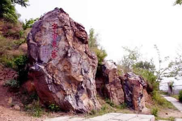 �ź�ͤ���ֵ���������ʯȺ