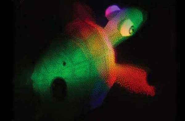 һֻ�ڹ��ȫϢͼ������������ѧ���з����¼�����ʾ