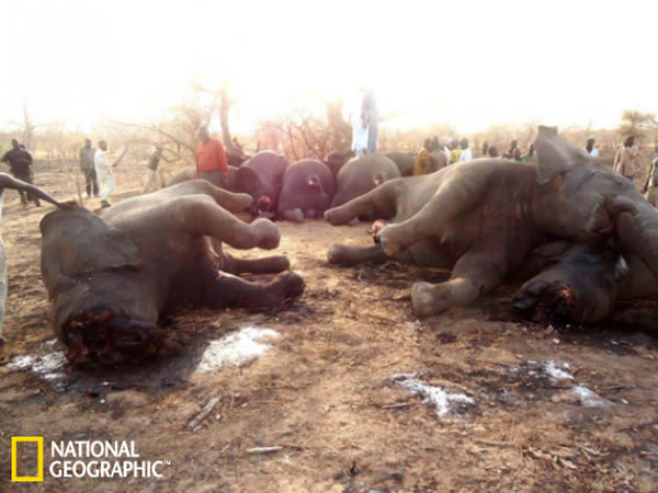 314պ15յɱ֮󣬵Ǵʬ塣