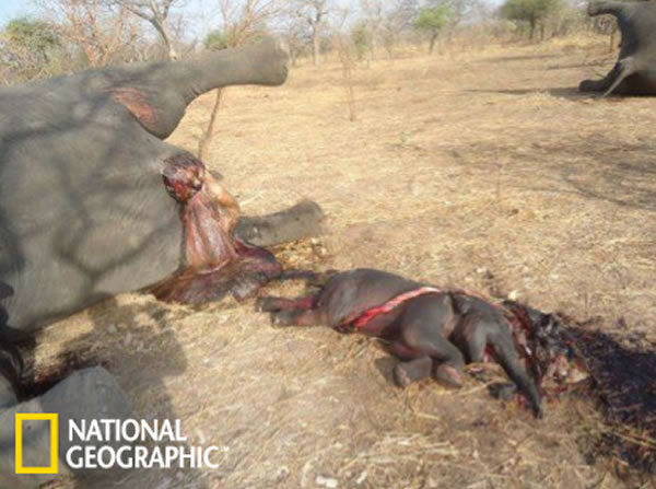 314պ15յɱ¼У⵽ɱĸ