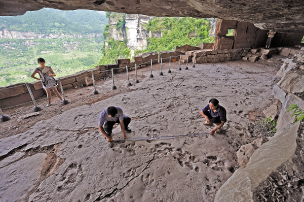 满地是恐龙足迹